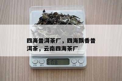 四海普洱茶厂，四海飘香普洱茶，云南四海茶厂