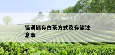 错误储存白茶方式及存储注意事