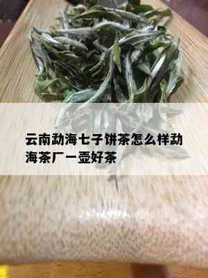 云南勐海七子饼茶怎么样勐海茶厂一壶好茶