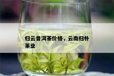 归云普洱茶价格，云南归朴茶业