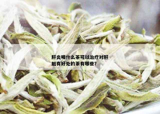 肝炎喝什么茶可以治疗对肝脏有好处的茶有哪些？