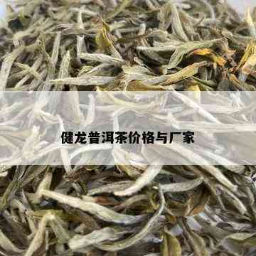 健龙普洱茶价格与厂家