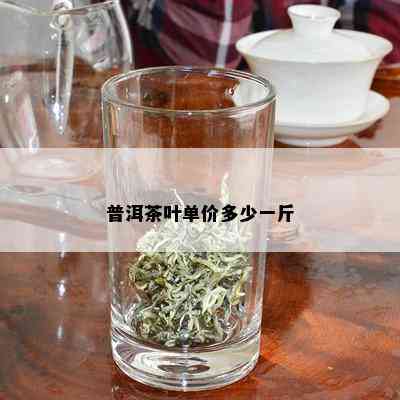 普洱茶叶单价多少一斤