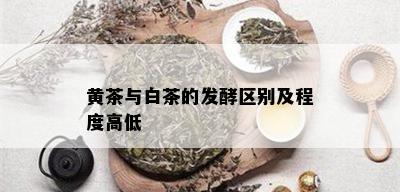 黄茶与白茶的发酵区别及程度高低