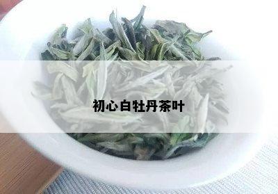 初心白牡丹茶叶