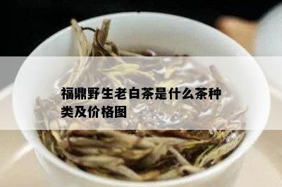 福鼎野生老白茶是什么茶种类及价格图