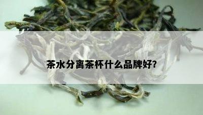 茶水分离茶杯什么品牌好？