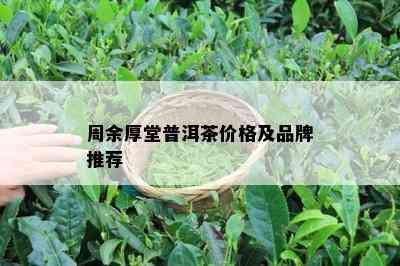 周余厚堂普洱茶价格及品牌推荐