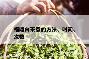 福鼎白茶煮的方法、时间、次数