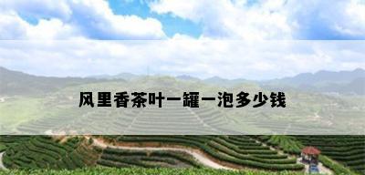 风里香茶叶一罐一泡多少钱