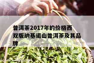 普洱茶2017年的价格西双版纳基诺山普洱茶及其品牌