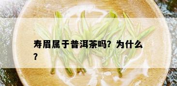 寿眉属于普洱茶吗？为什么？