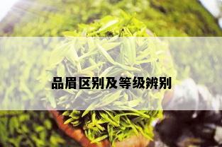 品眉区别及等级辨别