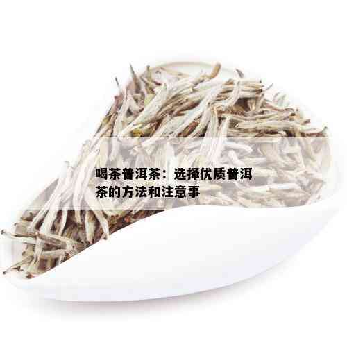 喝茶普洱茶：选择优质普洱茶的方法和注意事