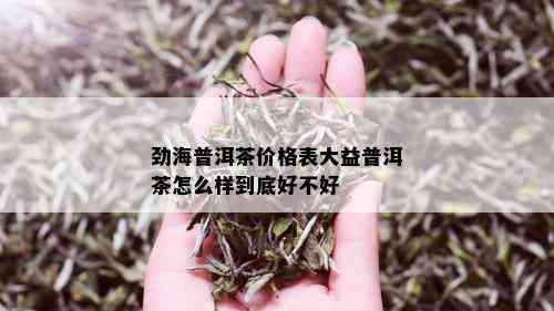 劲海普洱茶价格表大益普洱茶怎么样到底好不好