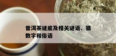 普洱茶谜底及相关谜语、猜数字和俗语