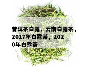 普洱茶白露，云南白露茶，2017年白露茶，2020年白露茶