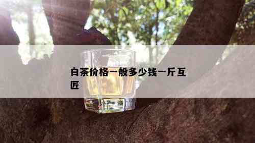 白茶价格一般多少钱一斤互匠