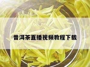 普洱茶直播视频教程下载