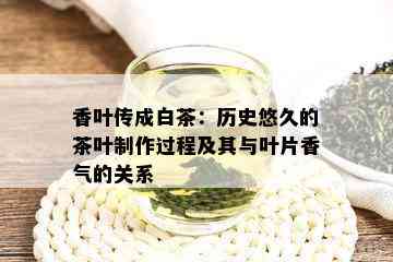 香叶传成白茶：历史悠久的茶叶制作过程及其与叶片香气的关系