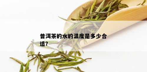 普洱茶的水的温度是多少合适？