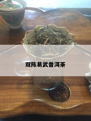 双陈易武普洱茶