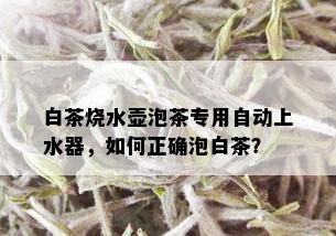 白茶烧水壶泡茶专用自动上水器，如何正确泡白茶？