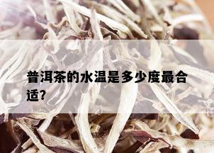 普洱茶的水温是多少度最合适？