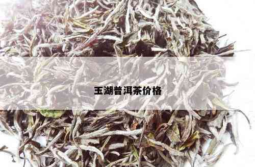 玉湖普洱茶价格