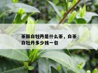 茶颜白牡丹是什么茶，白茶白牡丹多少钱一包