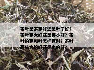 茶叶是茶芽好还是叶子好？茶叶芽大好还是芽小好？茶叶的芽和叶怎样区别？茶叶芽头大的好还是小的好？