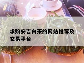 求购安吉白茶的网站推荐及交易平台