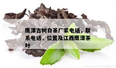 鹰潭古树白茶厂家电话，联系电话，位置及江西鹰潭茶叶