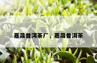 嘉晟普洱茶厂，嘉晟普洱茶