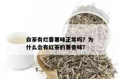 白茶有烂番薯味正常吗？为什么会有红茶的薯香味？