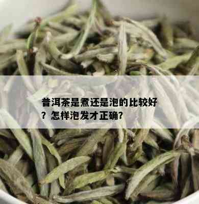 普洱茶是煮还是泡的比较好？怎样泡发才正确？