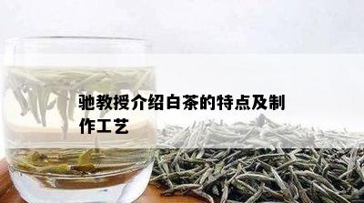 驰教授介绍白茶的特点及制作工艺