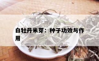 白牡丹米芽：种子功效与作用