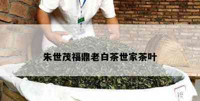 朱世茂福鼎老白茶世家茶叶