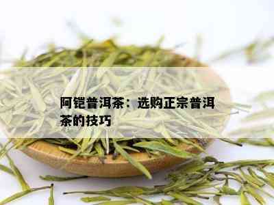 阿铠普洱茶：选购正宗普洱茶的技巧