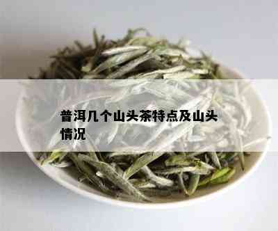 普洱几个山头茶特点及山头情况