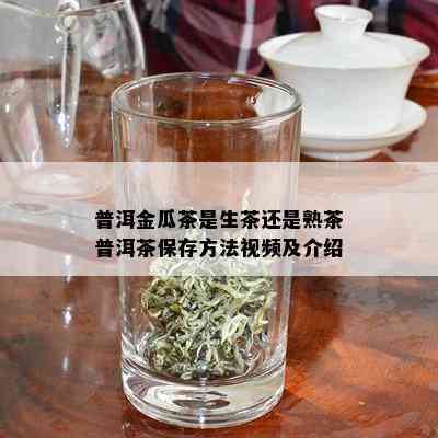 普洱金瓜茶是生茶还是熟茶普洱茶保存方法视频及介绍