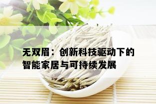 无双眉：创新科技驱动下的智能家居与可持续发展