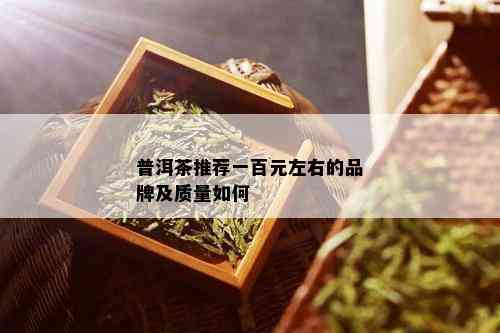 普洱茶推荐一百元左右的品牌及质量如何