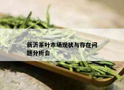 新沂茶叶市场现状与存在问题分析会