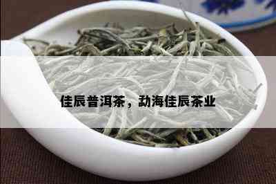 佳辰普洱茶，勐海佳辰茶业