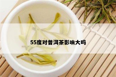 55度对普洱茶影响大吗