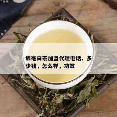 银毫白茶加盟代理电话，多少钱，怎么样，功效