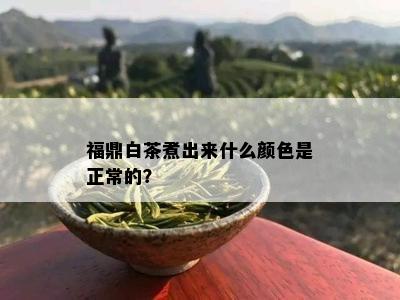 福鼎白茶煮出来什么颜色是正常的？