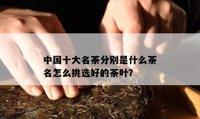 中国十大名茶分别是什么茶名怎么挑选好的茶叶？